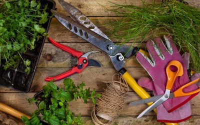 Get Your Garden Blooming: Tools You Can’t Ignore