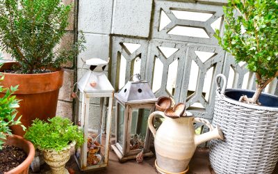 Unlocking the Full Potential of Your Garden with Style and Accessories